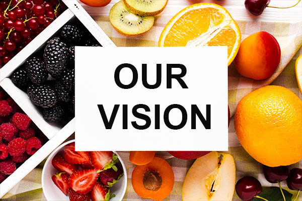 vision