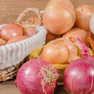 Vegetable